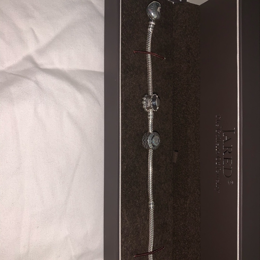 Pandora Charm Bracelet